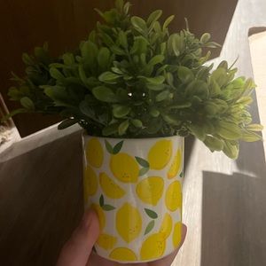 Lemon Plant decor